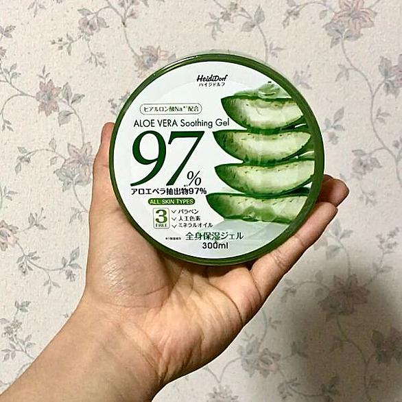 アロエとは 動植物の人気 最新記事を集めました はてな