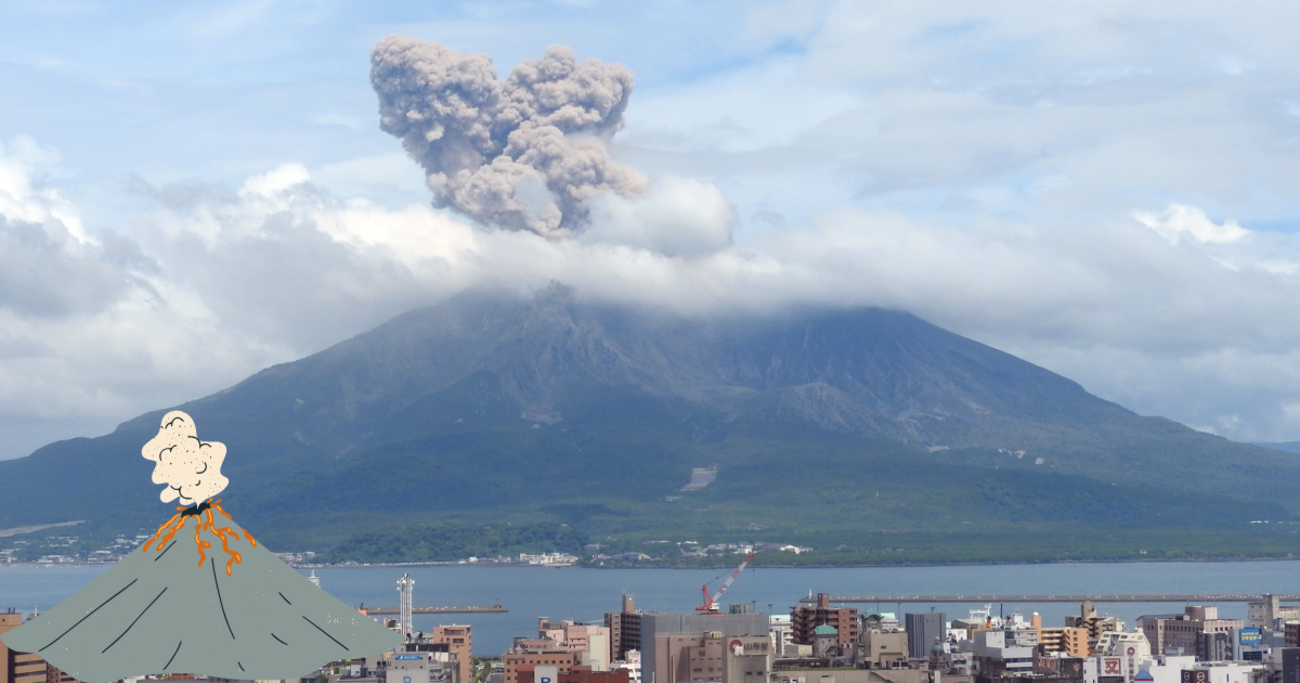 森伊蔵、超美品、鹿児島、桜島の麓から 森伊蔵酒造｜公式サイト