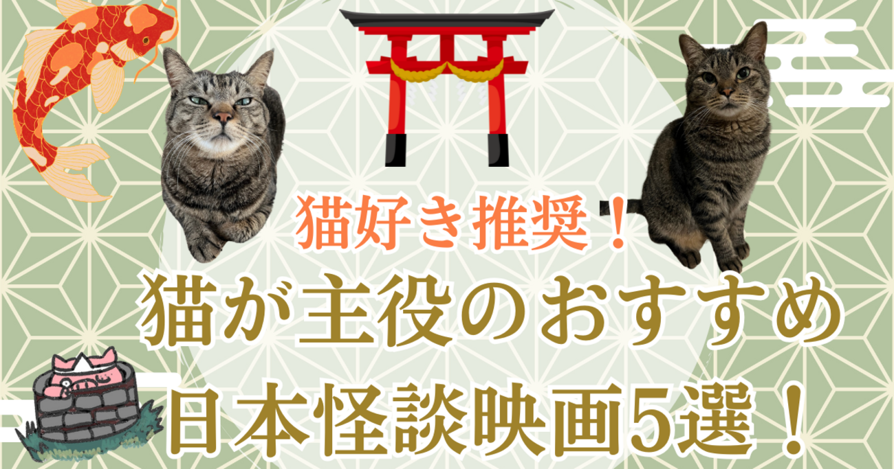 猫好き推奨！猫が主役のおすすめ日本怪談映画5選！ - ホラー映画さえ