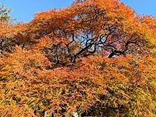 Claude Codeを手懐けてAndroidアプリ高速リファクタリング