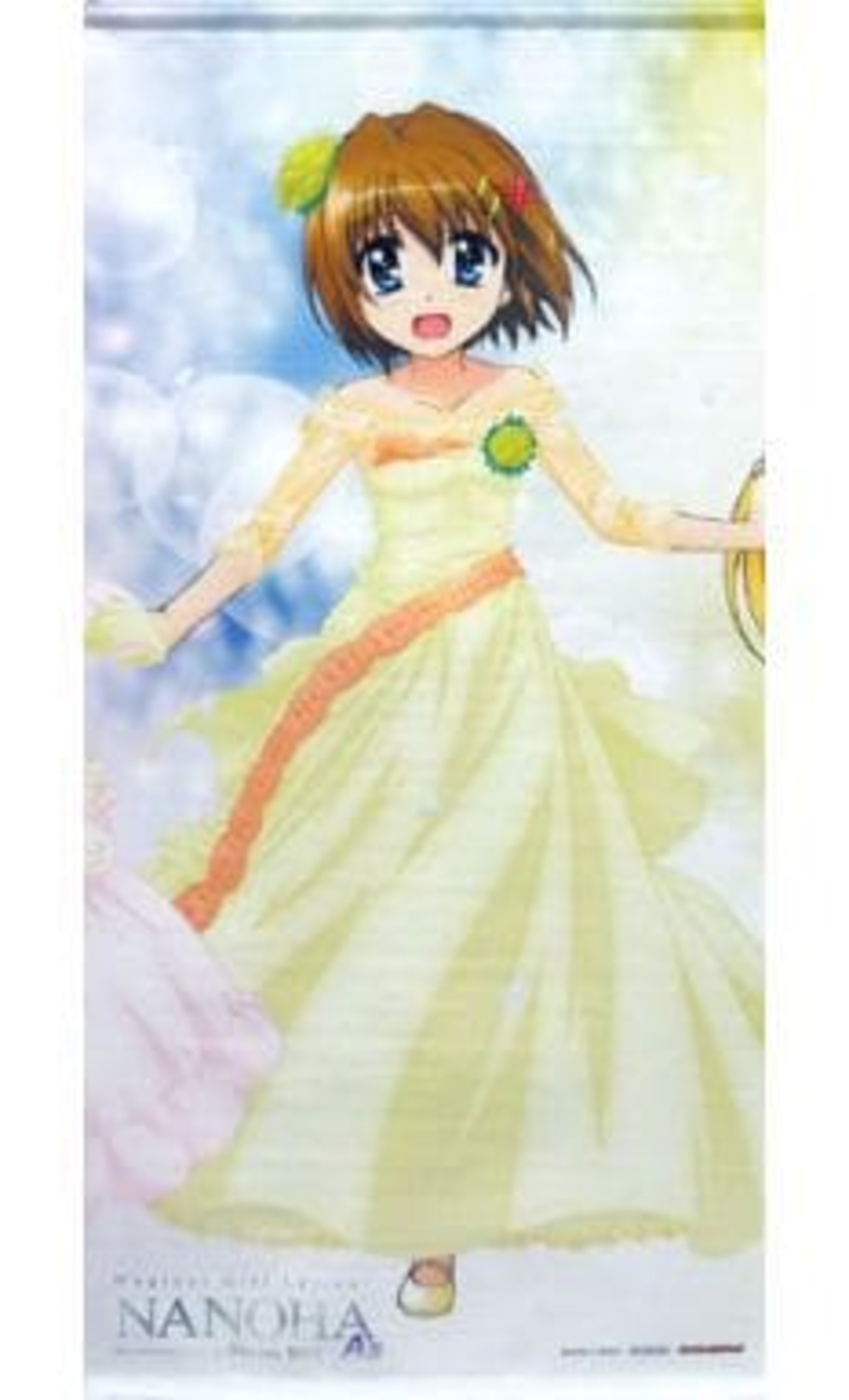 今八神はやて 描き下ろしオリジナルB2変形タペストリー 「Blu-ray Box 