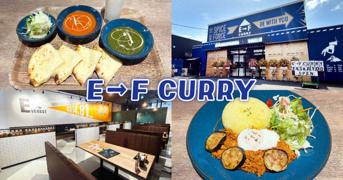 静岡にオープンした新しいインドカレー店の魅力
