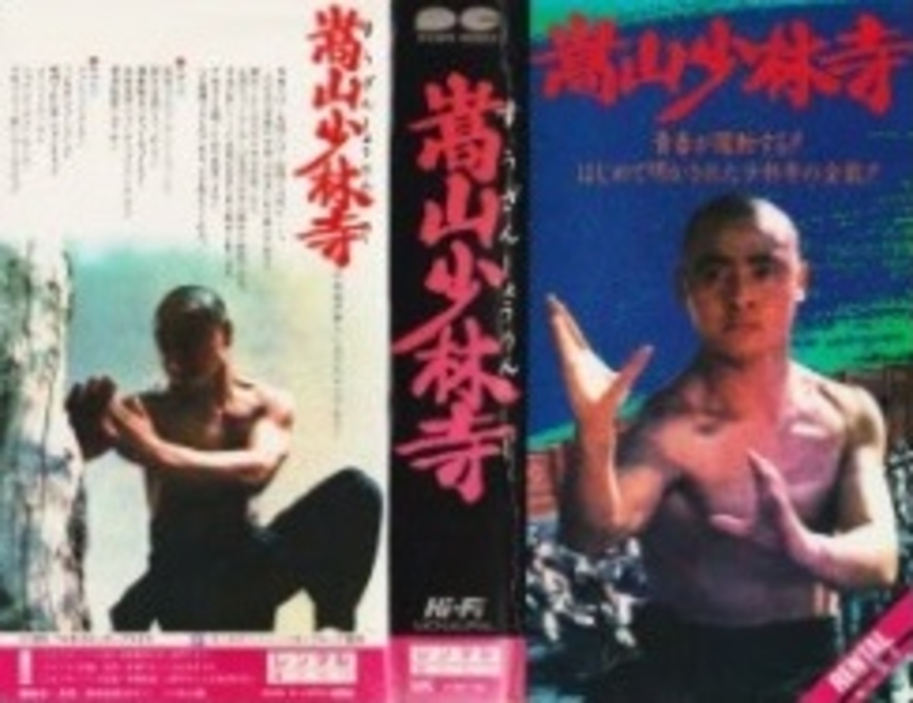 傑作香港映画VHSビデオ紹介：香港カンフー映画① - なつかしの香港映画 