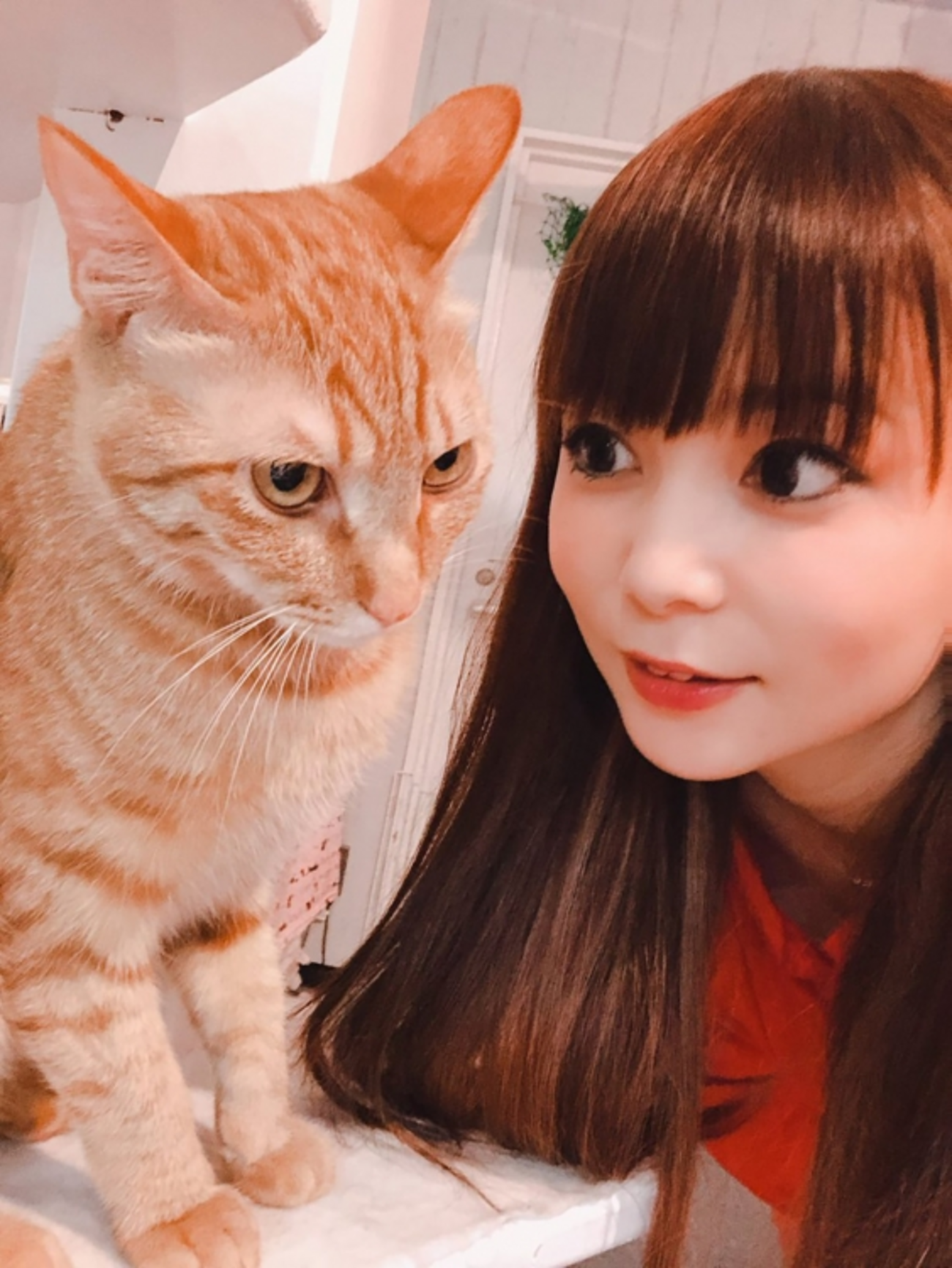 しょこたん 髪型 エロ 一周回ってしょこたんギザカワユスなのではということに気付いた - ゆたんぽを抱いて寝る。