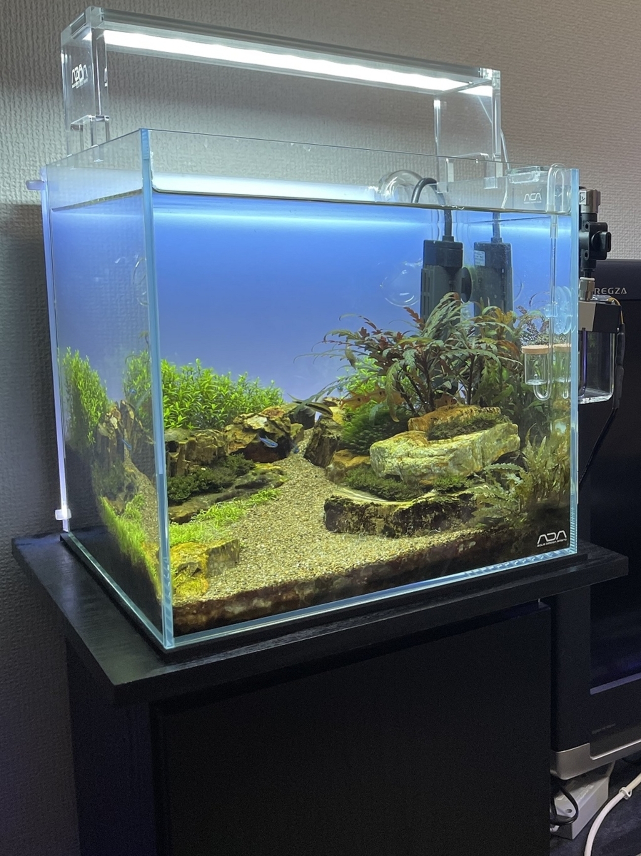 ADA 30cmキューブ水槽 フルセット