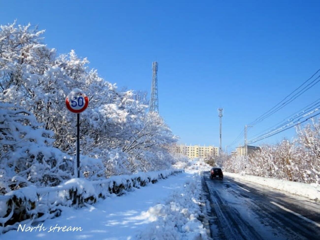 春先のドカ雪 - グリーンフォレスト(日々の記憶)