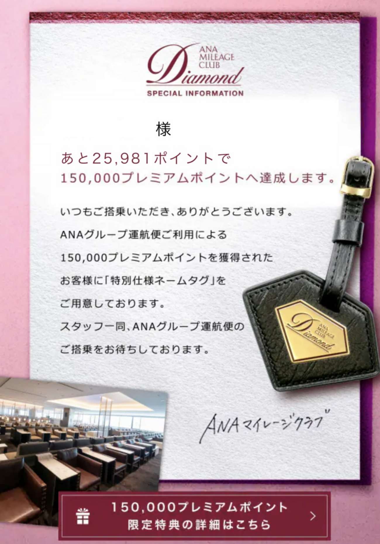 ANA 15万PP「特別仕様ネームタグ」 - FairWind-Weblog