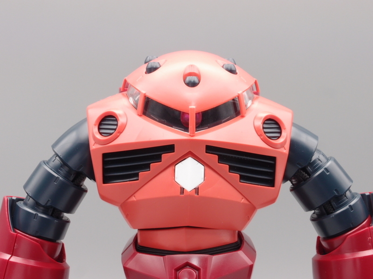 MG 1/100 シャア専用ズゴック - 手取り13万だけどFDとか玩具とか