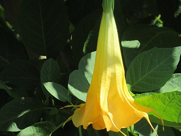 守株待兎とは 一般の人気 最新記事を集めました はてな