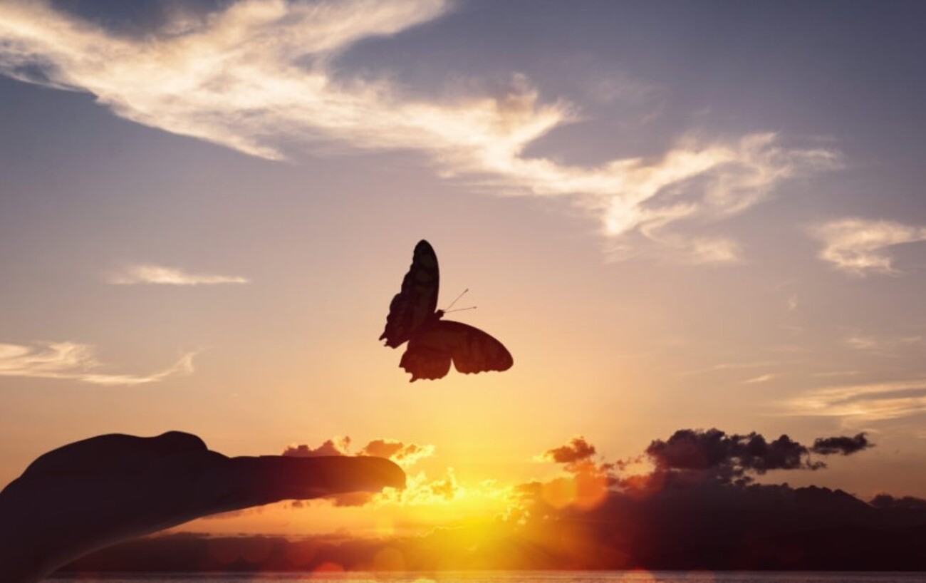 7/2：2025年6月28日（土）：トランプは人類史上最大の資産解放を実行しました？！ - steyo2001’s diary