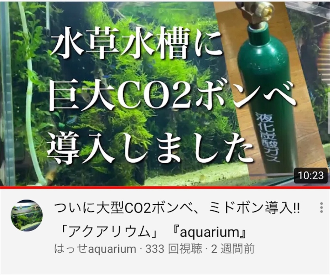 アクアリウム】緑ボンベでCo2添加 - アクアリウムレベルアップ攻略サイト