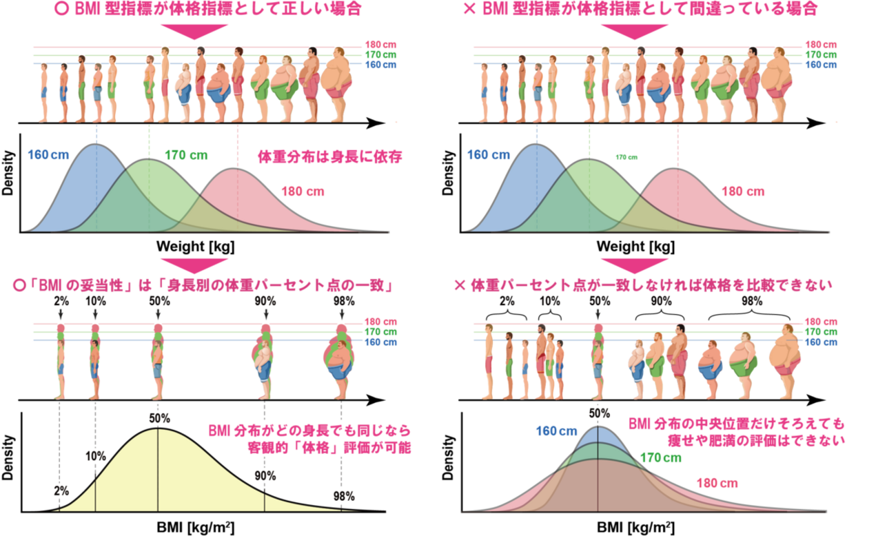 【私のチの冒険】体格指標BMIの成功と挫折、そして再生（５）：200年間気づかれなかった子どもの成長法則 - ケィオスの時系列解析メモランダム