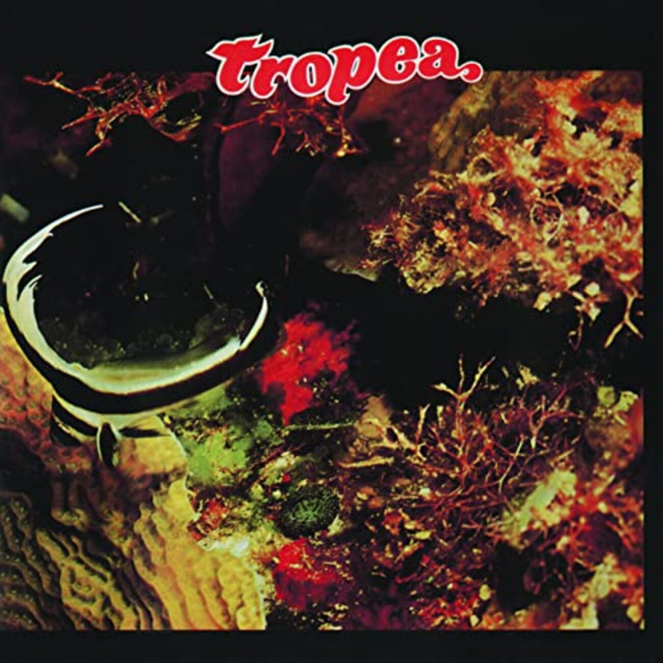 Tropea / John Tropea (1975) - ジャズギターを聴く