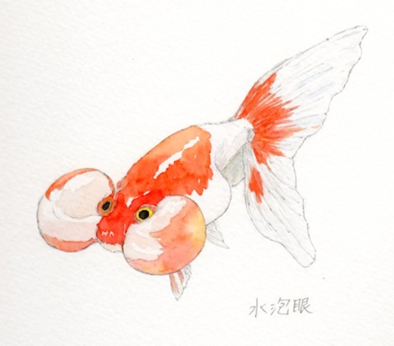 金魚の絵 金魚」 by 朱里｜Artmeter｜暮らしを彩るアートが、きっと見つかる