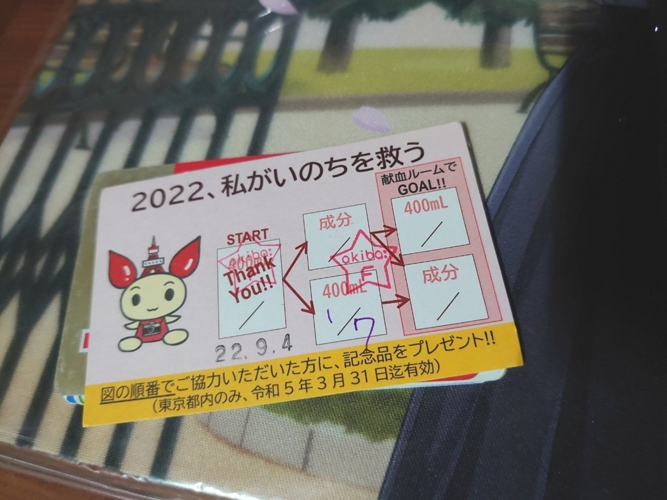 活動歴および当時の関連ビジュアル記録