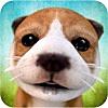 犬 Dog Simulator