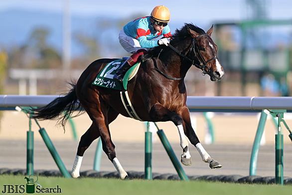 フクノモンルージュ 競走馬データ Netkeiba Com