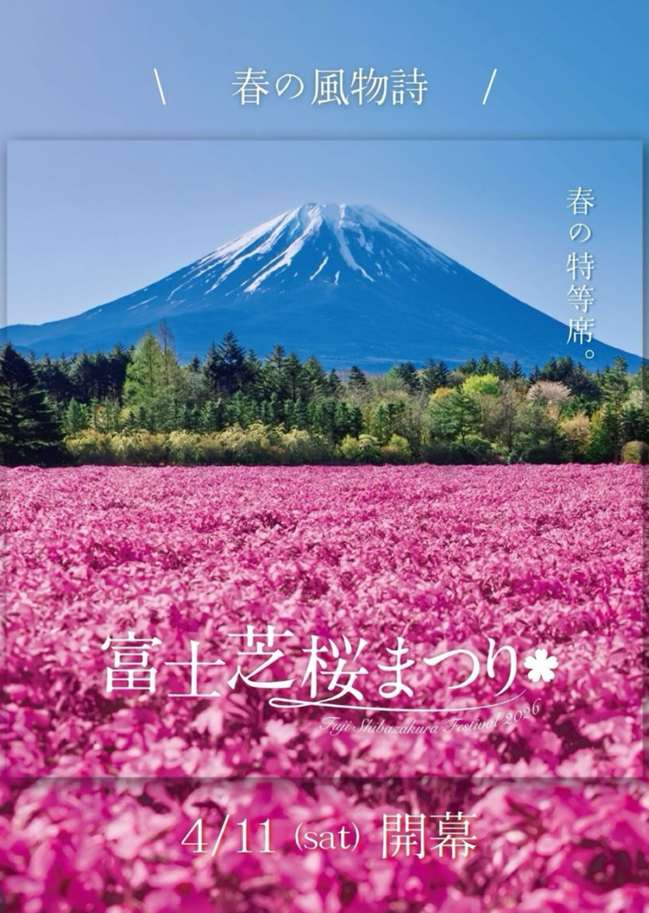 11日(土)より富士本栖湖リゾートで富士芝桜まつり開催予定 - イベとぴ 