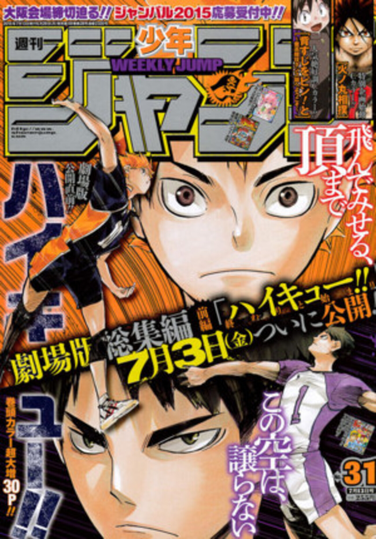 ハイキュー 展示 ハイキュー!! 31 - マンガ(漫画) 古舘春一