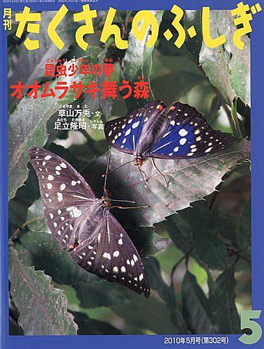 オオムラサキとは 動植物の人気 最新記事を集めました はてな オオムラサキとは 動植物の人気 最新記事を集めました はてな