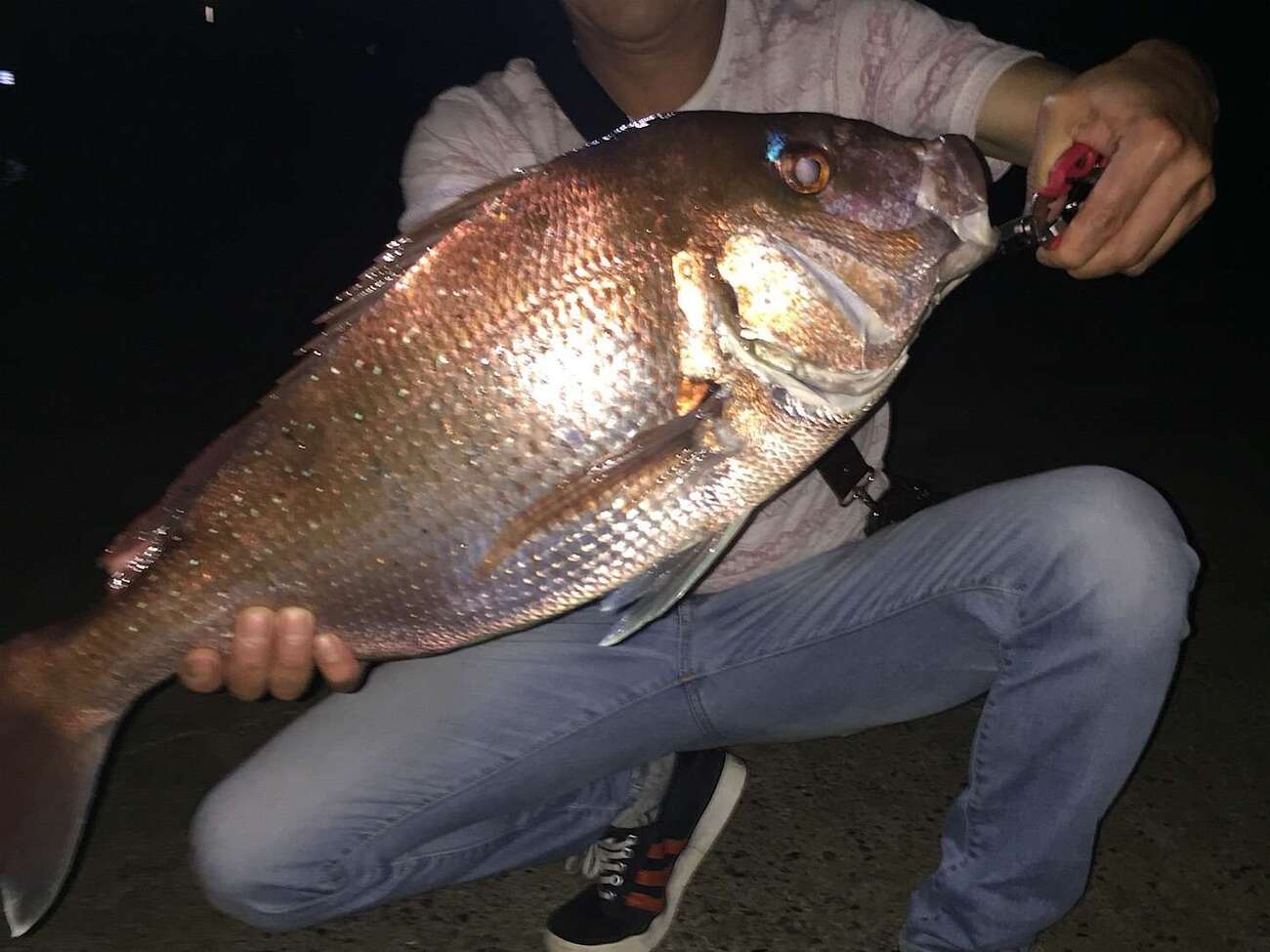 鯛 を 釣る 夢