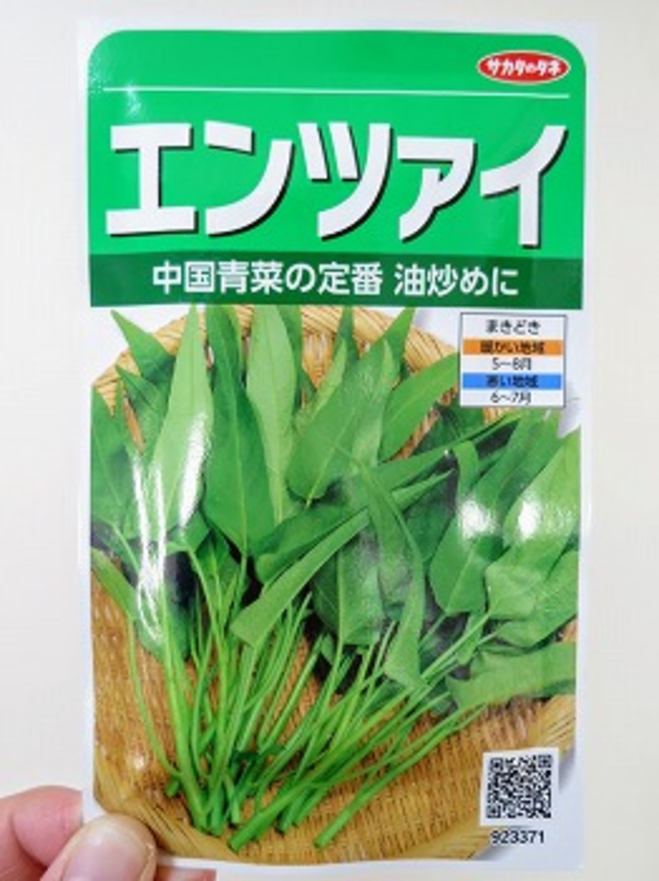 空芯菜（エンツァイ）』を水耕栽培しましょう。真夏に採れる葉物野菜
