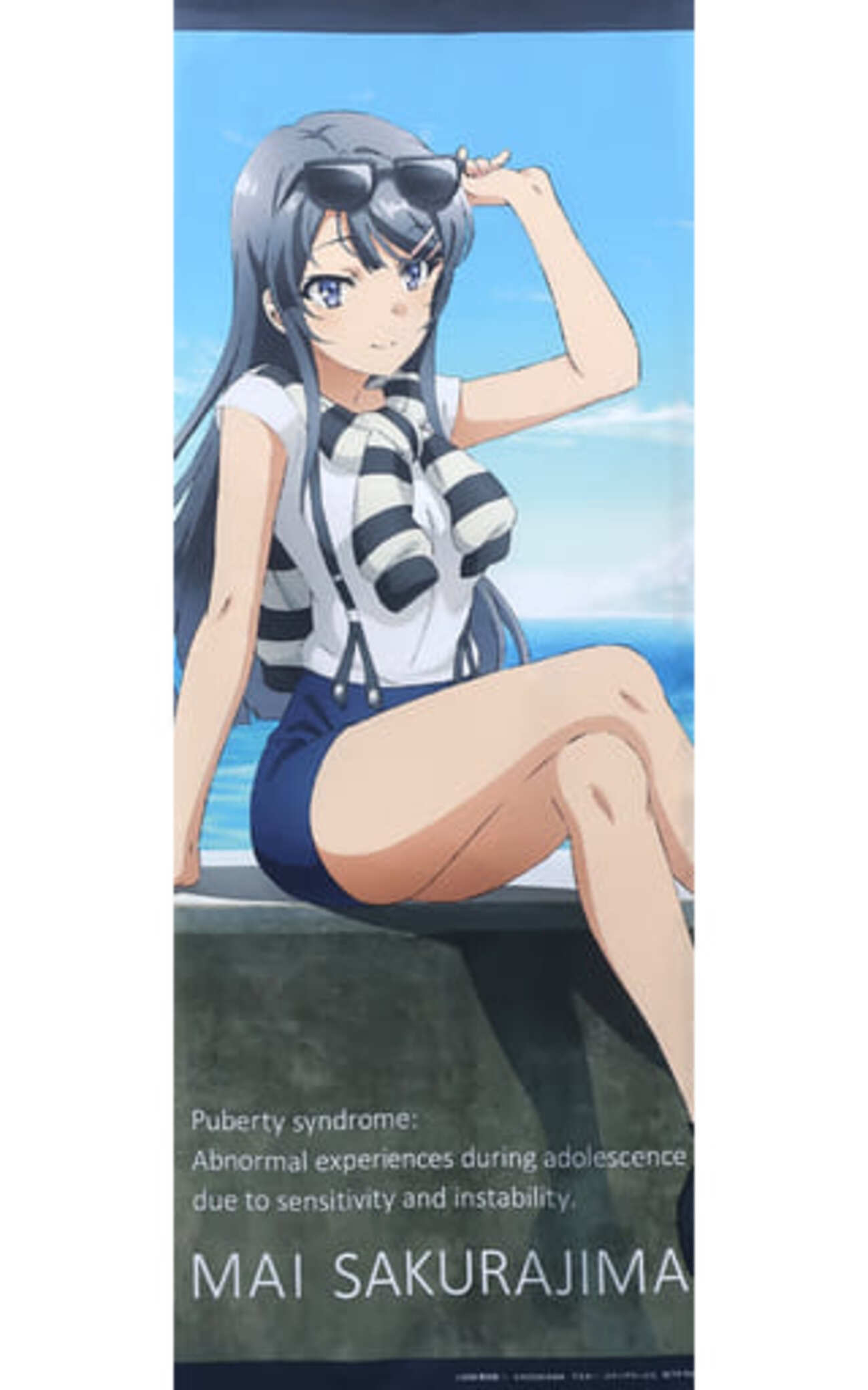 タペストリー　桜島麻衣 BIGタペストリー 「青春ブタ野郎はバニーガール先輩の夢を見ない×ドン・キホーテ」 backend=imagemagick;version=1;
