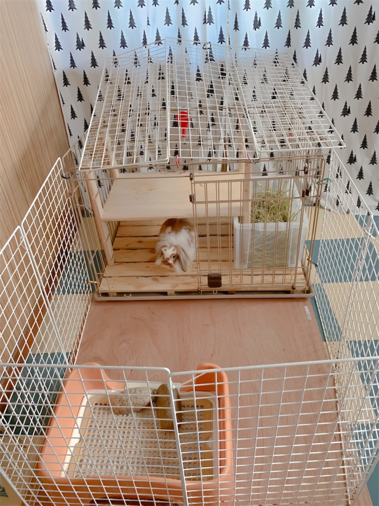 我が家のうさぎの手作りケージを紹介するよ！大きく広くDIYしました 