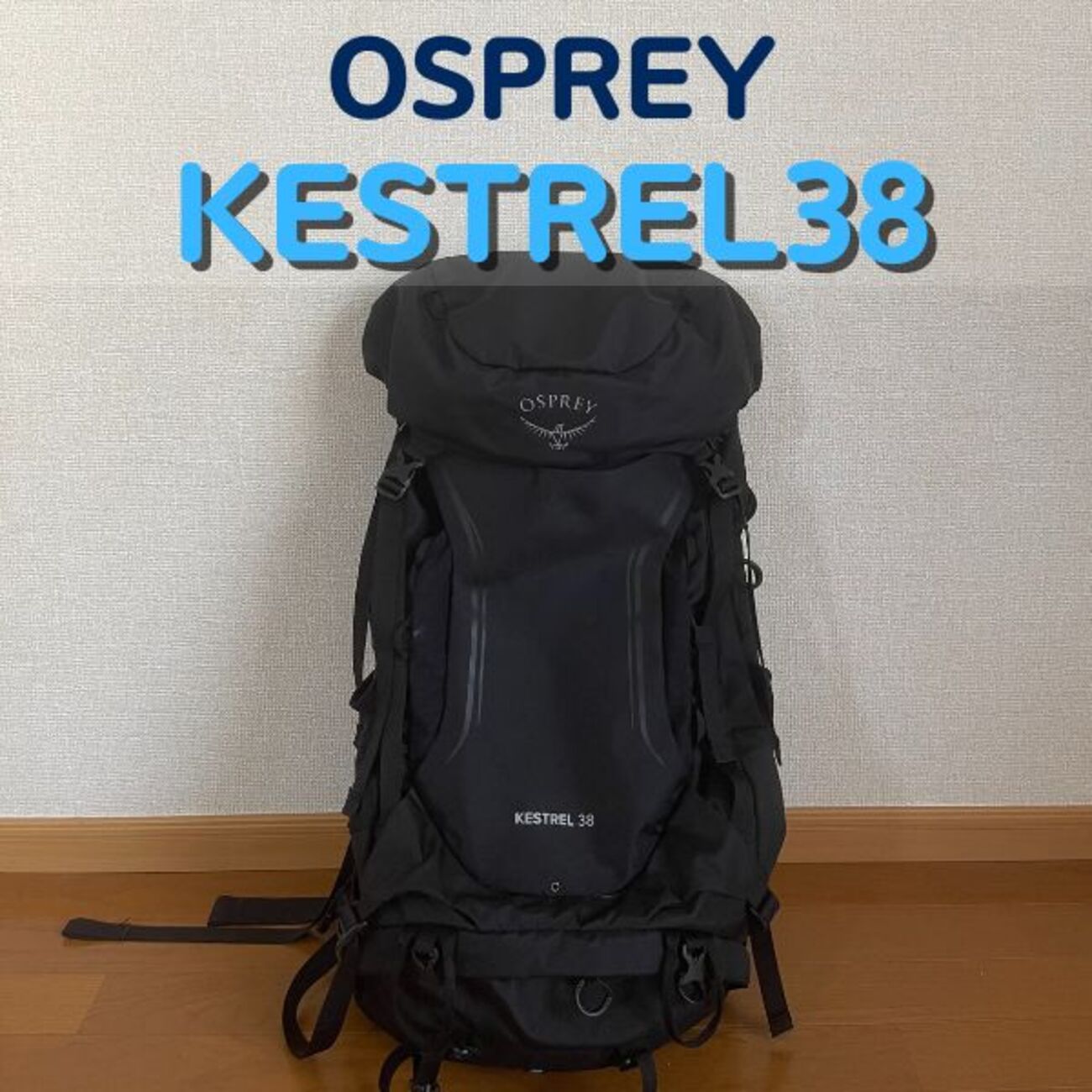 オスプレーのケストレル38徹底レビュー｜日帰り登山やハイキングに 