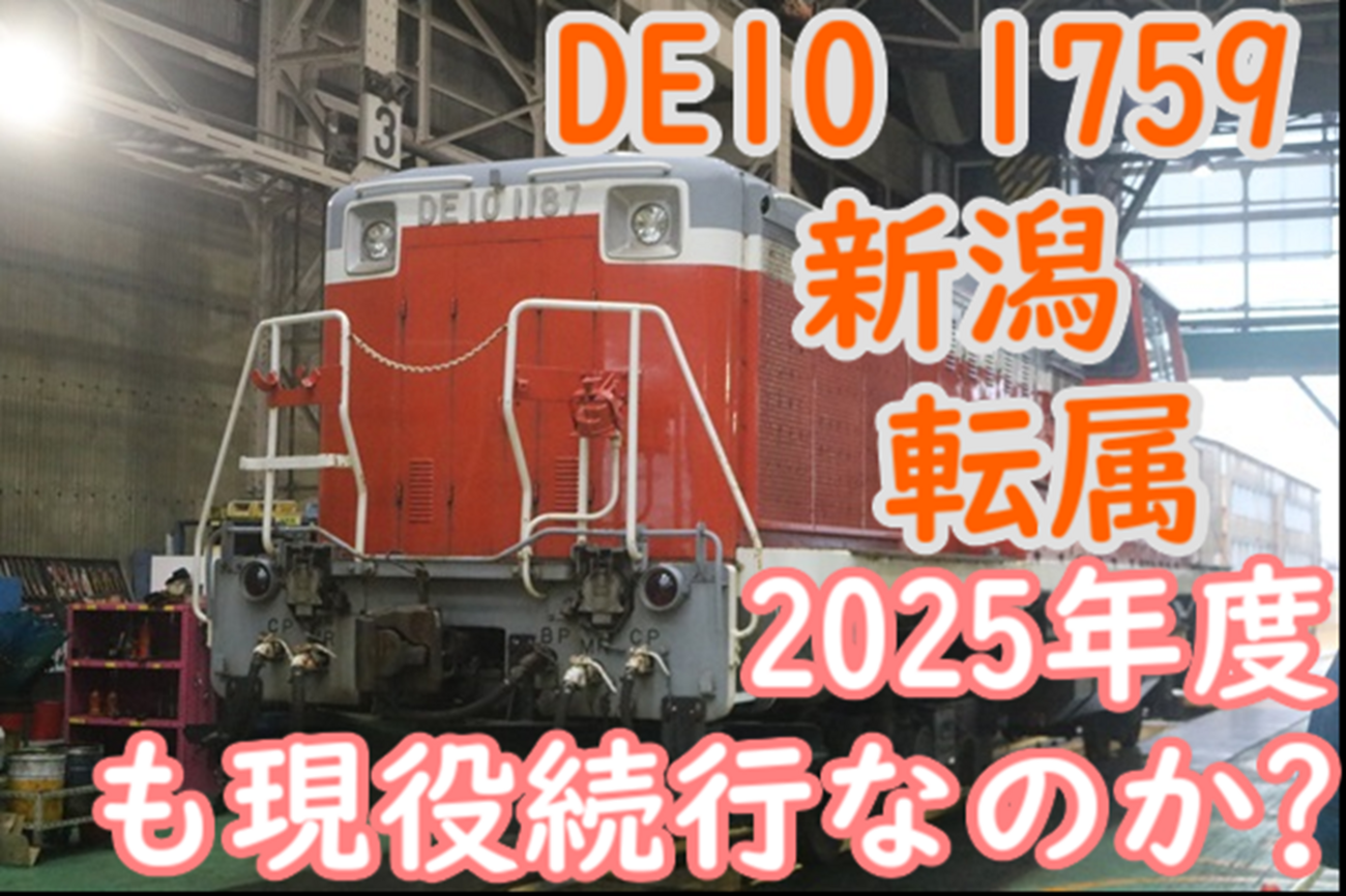 元気がでるからだの本 1999秋号 Amazon.fr - からだのなかとそと―めくるとわかるからだの本