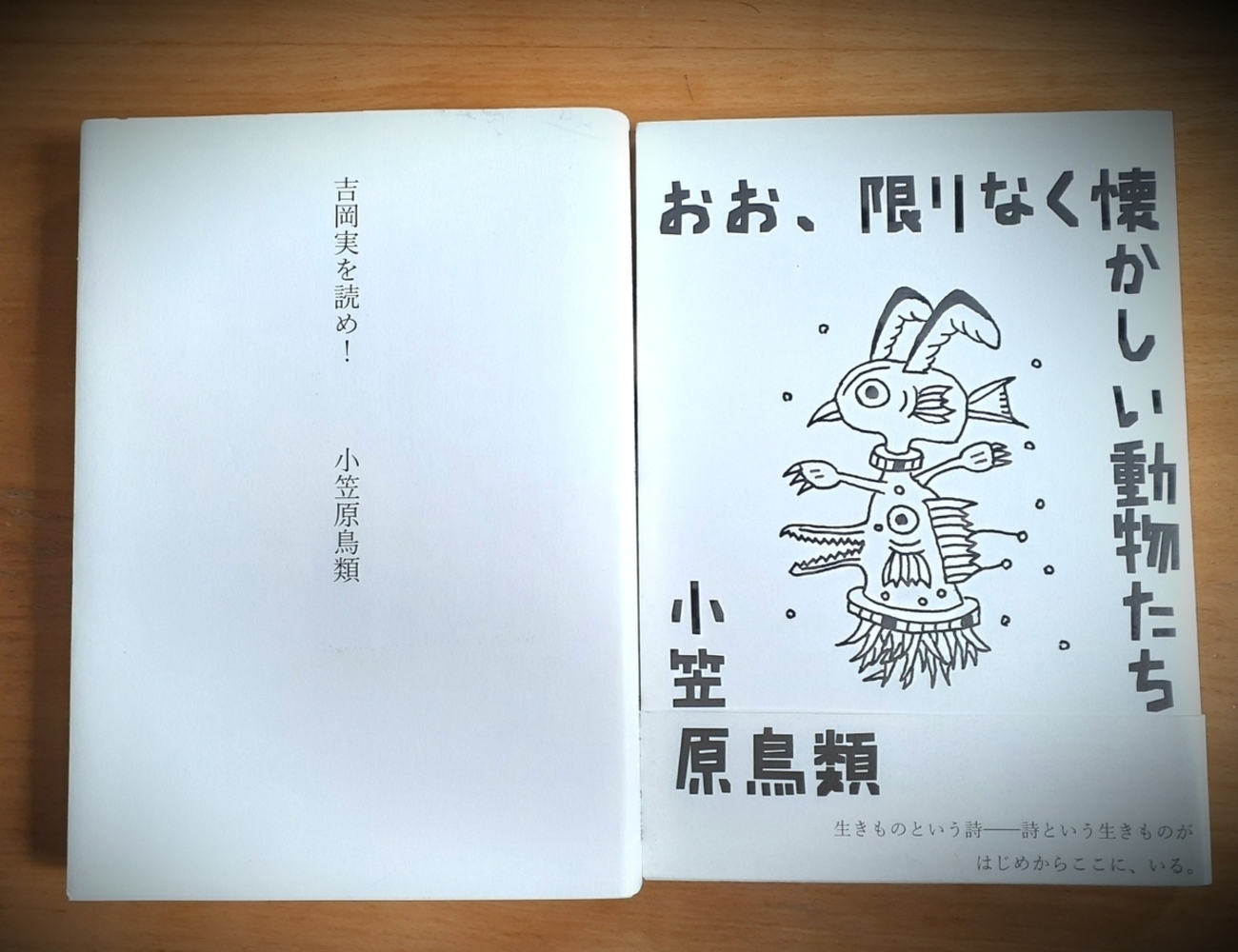 小笠原鳥類さんを拾い読む ――「現代――」との向き合い方を探る - 望月の蠱惑