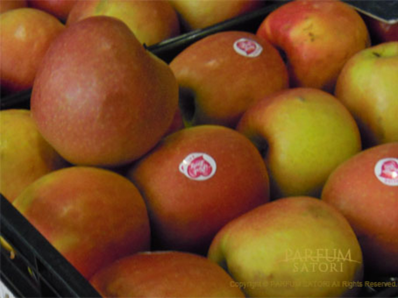 赤いほっぺのりんごちゃん Ringo-chan - パルファン サトリの香り紀行