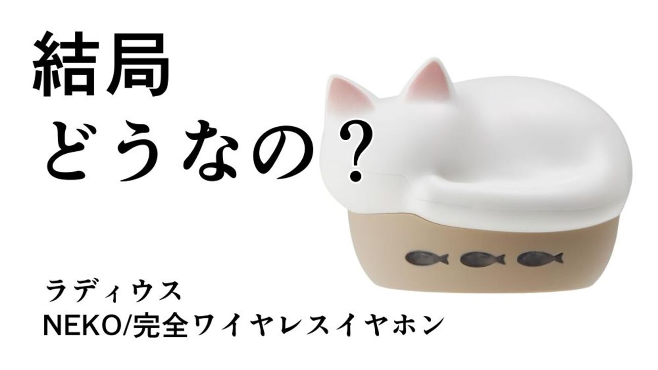 結局どうなの？NEKOのリアルな評判【ラディウス/HP-C28BT/ワイヤレス 