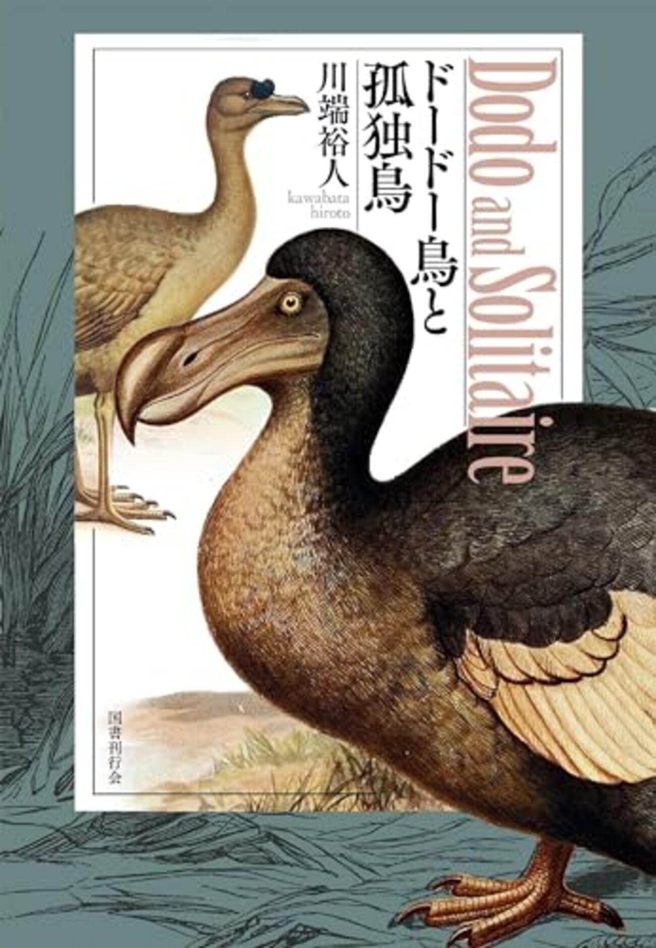 Extinct Birds【絶滅鳥類　洋書】 Amazon | Extinct Birds | Fuller, Errol | Paleontology