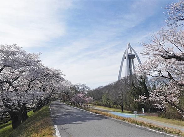 木曽川堤とは 地理の人気 最新記事を集めました はてな