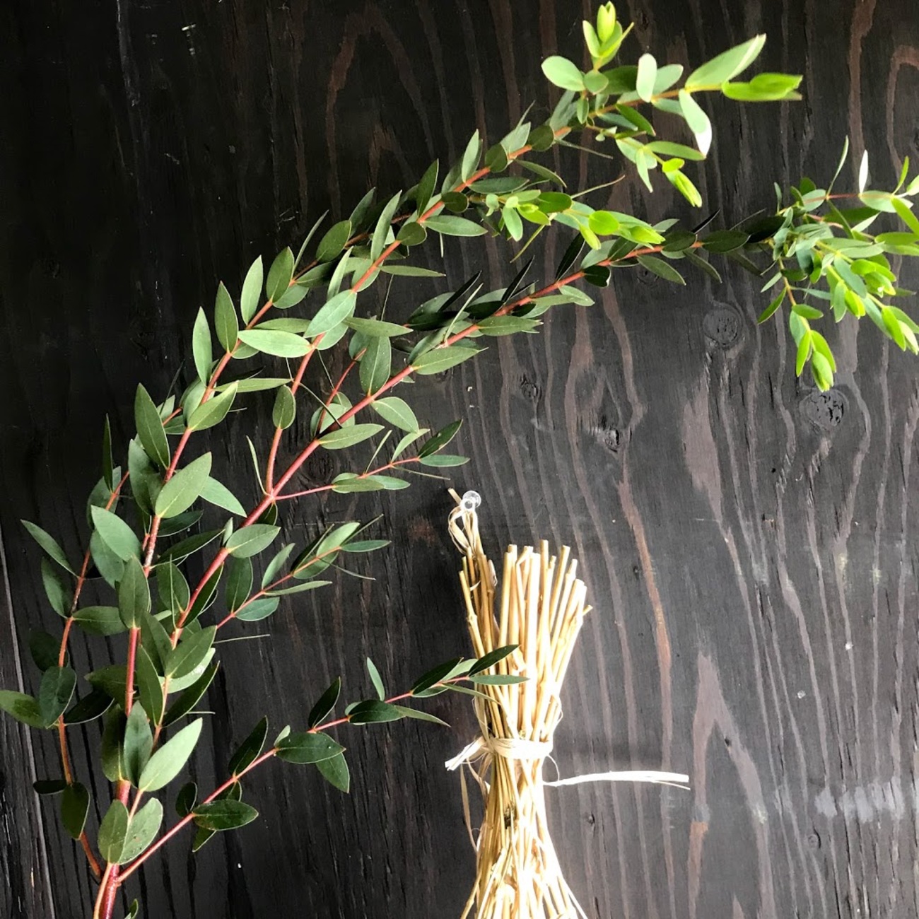 ユーカリのドライフラワー - はなめも。～花屋のメモ帳～