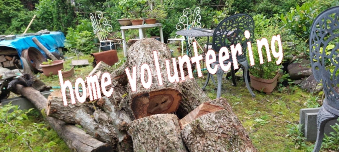 木から水が噴き出してビックリ初体験！⛏️実家ボランティアhome volunteering - igenoyama’s diary（いげのやま美化クラブ）