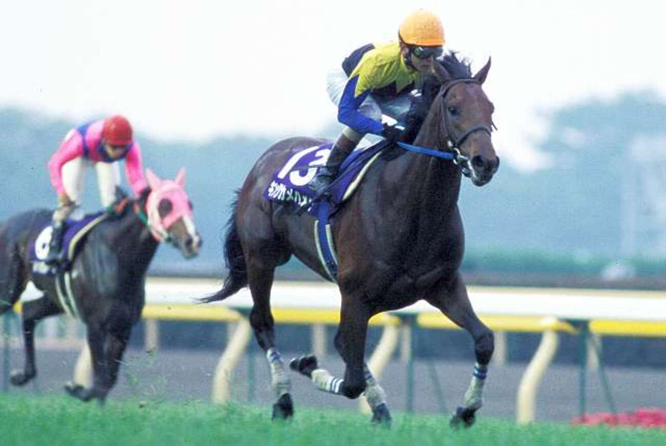 京成杯の呪い - 競馬茶論 〜サロン・ド・ケイバ〜