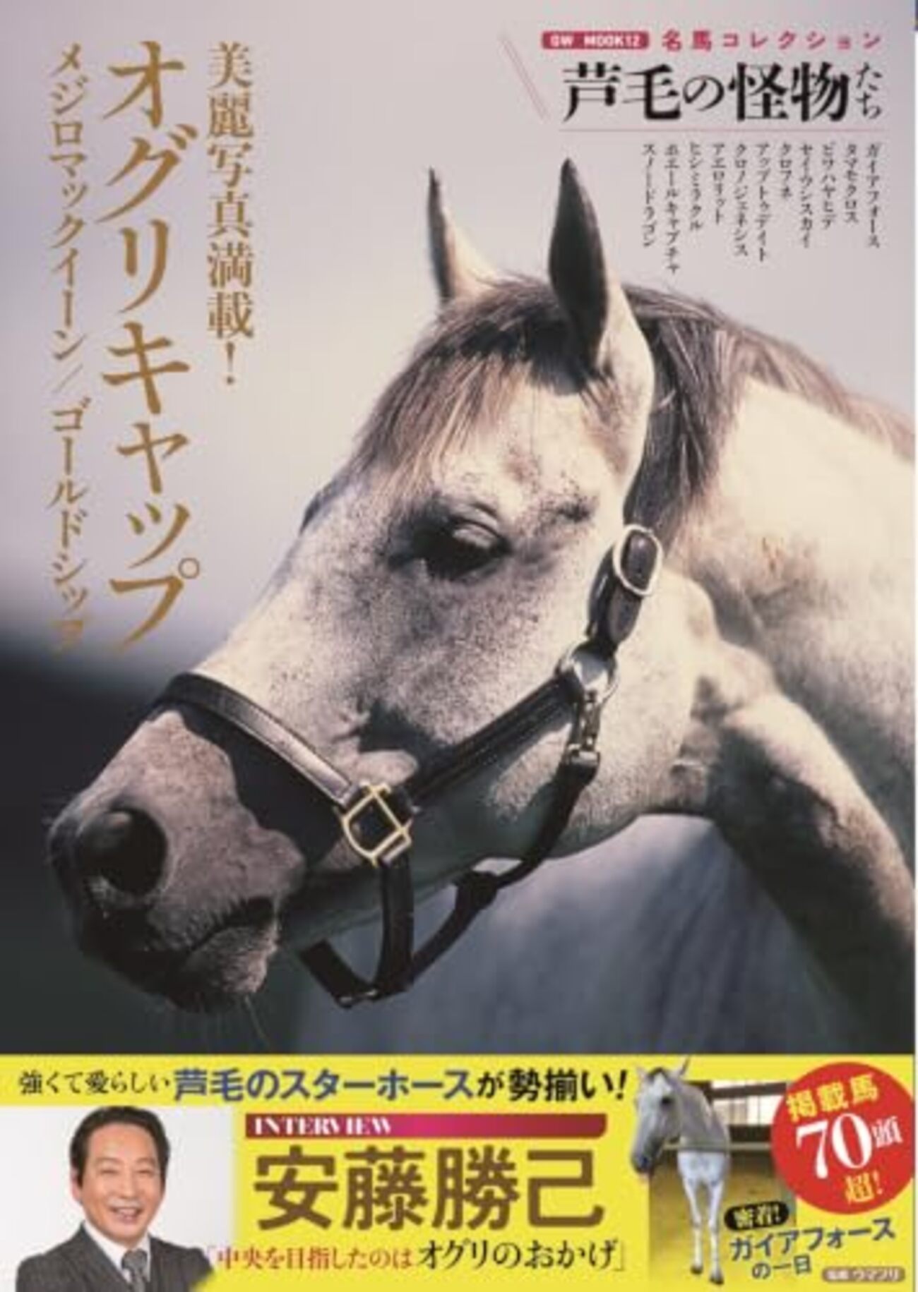 ウマフラー 芦毛 白 welcomeチャンス 非売品 来場ポイント ウマフラー 芦毛 白 welcomeチャンス 非売品 来場ポイント ウマフラー