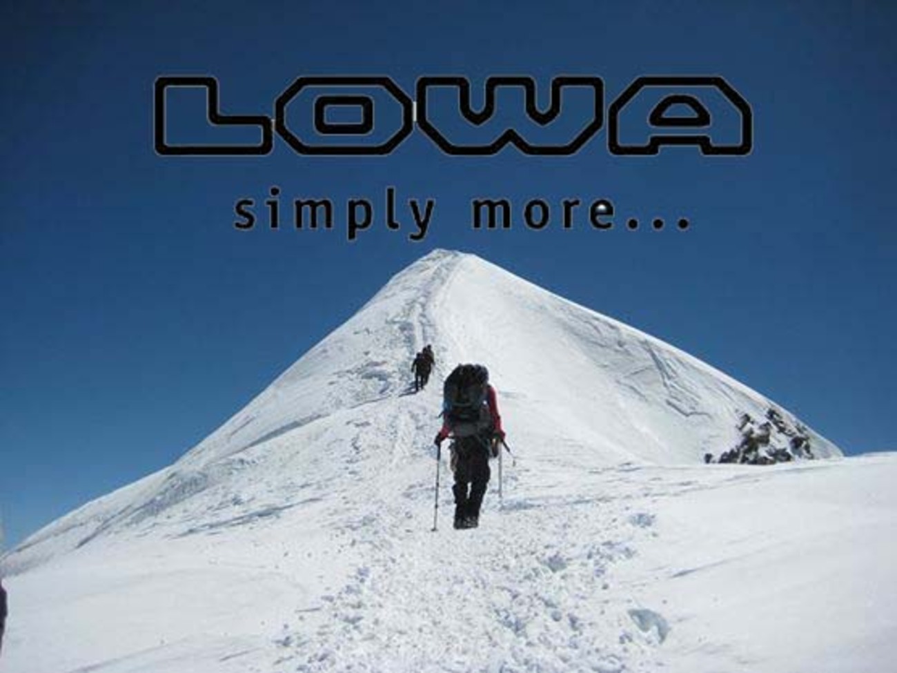 入荷情報 LOWA Mountain Expert GTX Evo - Toraya-sports