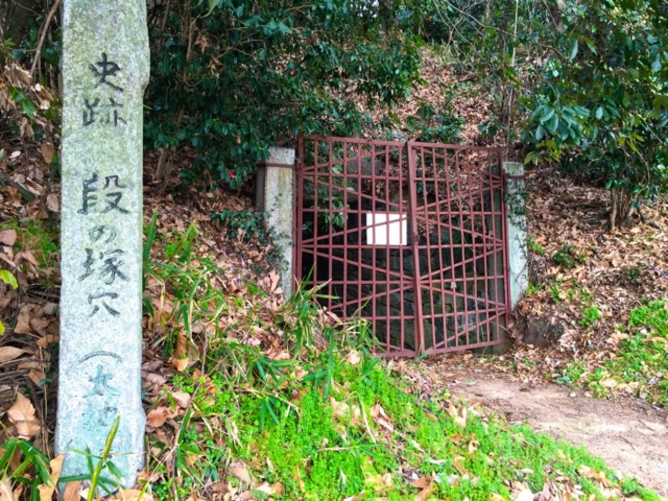 大田 田 根子
