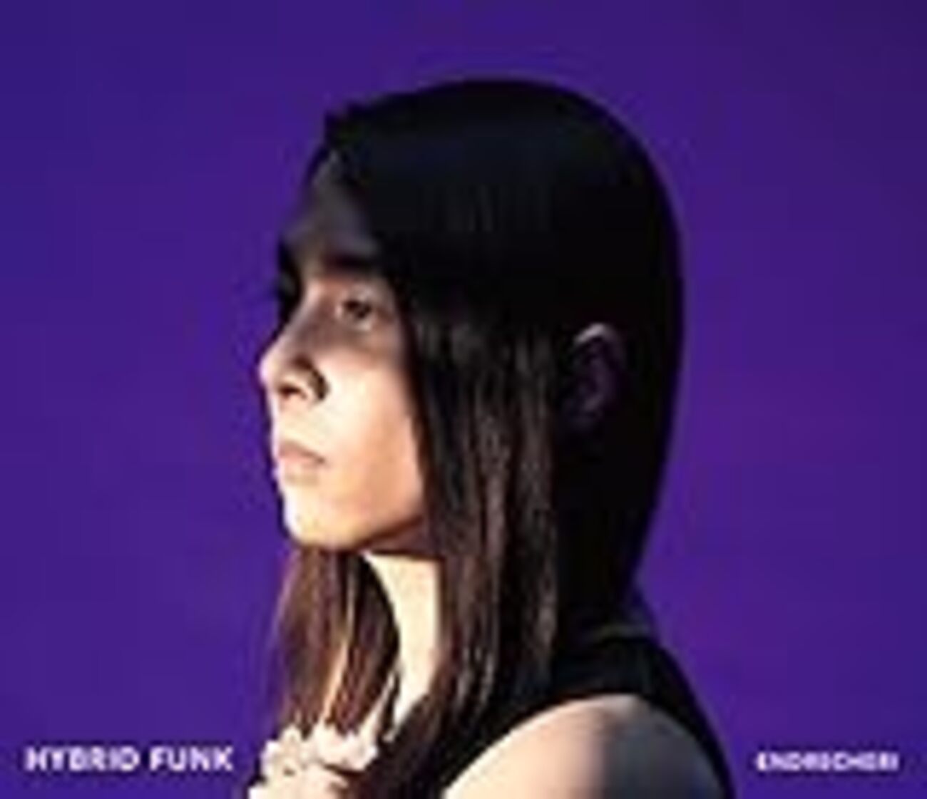 KinKi Kids - HYBRID FUNK 堂本剛 Kinki kids Yahoo!オークション - ENDRECHERI 堂本剛 KinKi Kids キンキ
