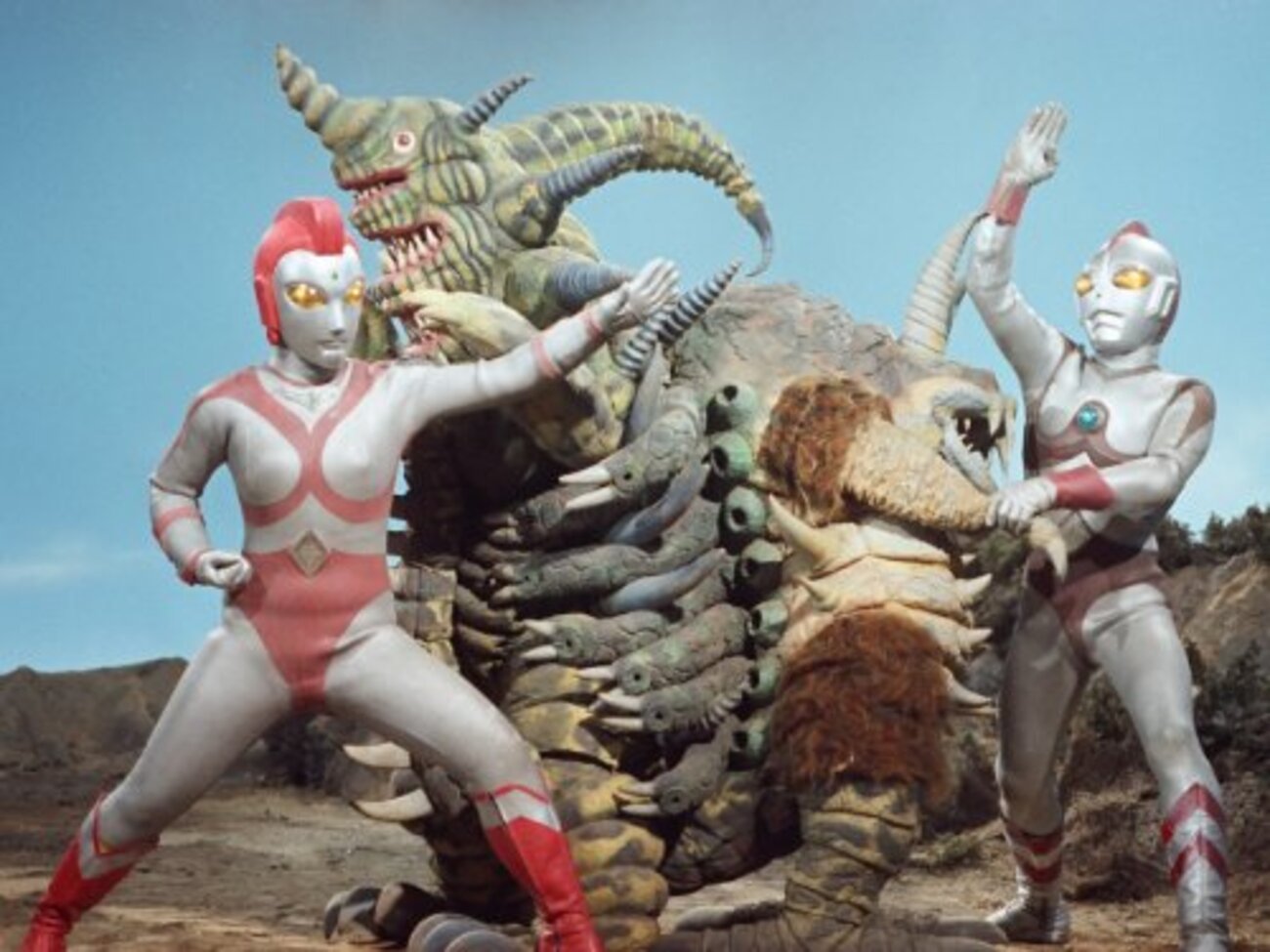 ビジンダーマリ 