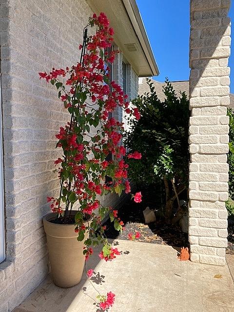 レッドステイトとは 地理の人気 最新記事を集めました はてな