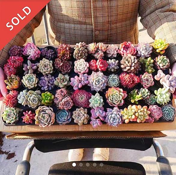 右クリック禁止とは ウェブの人気 最新記事を集めました はてな