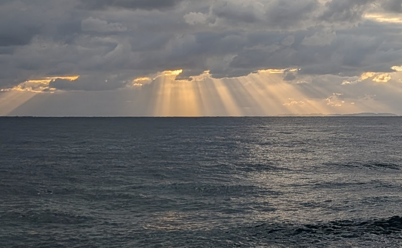 55歳での早期退職と、不動産から高配当株への資産シフト - たぱぞうの米国株投資