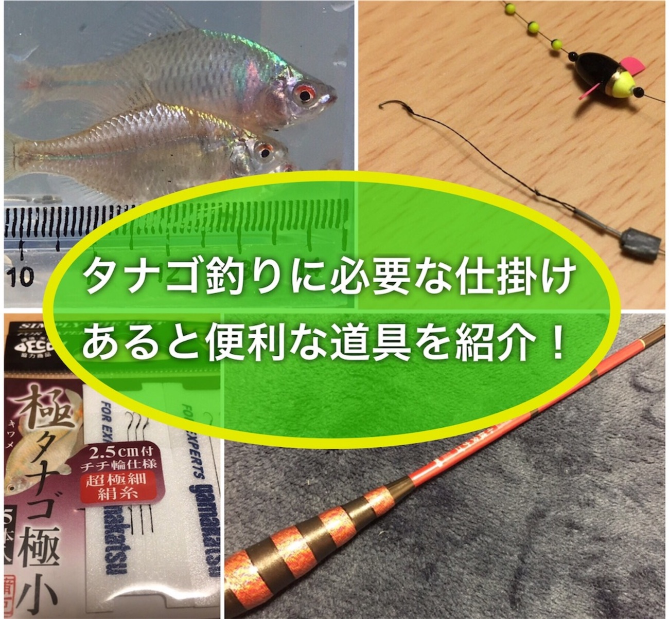 タナゴ釣りに必要な道具・仕掛け・竿・餌を徹底解説！初心者必見 - た 