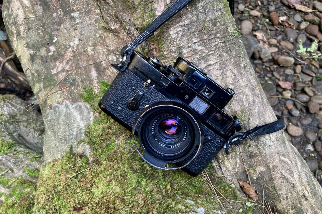 Leica M4とSummilux35mm f1.4を持ってT秘境へ行って鹿の角を拾った