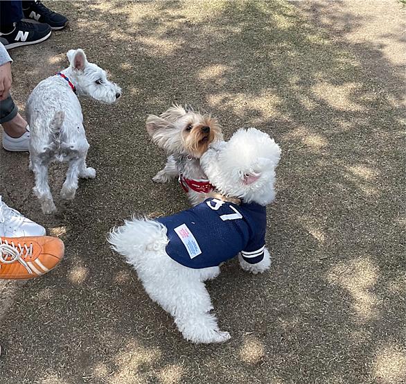 新横浜公園とは スポーツの人気 最新記事を集めました はてな 新横浜公園とは スポーツの人気 最新記事を集めました はてな