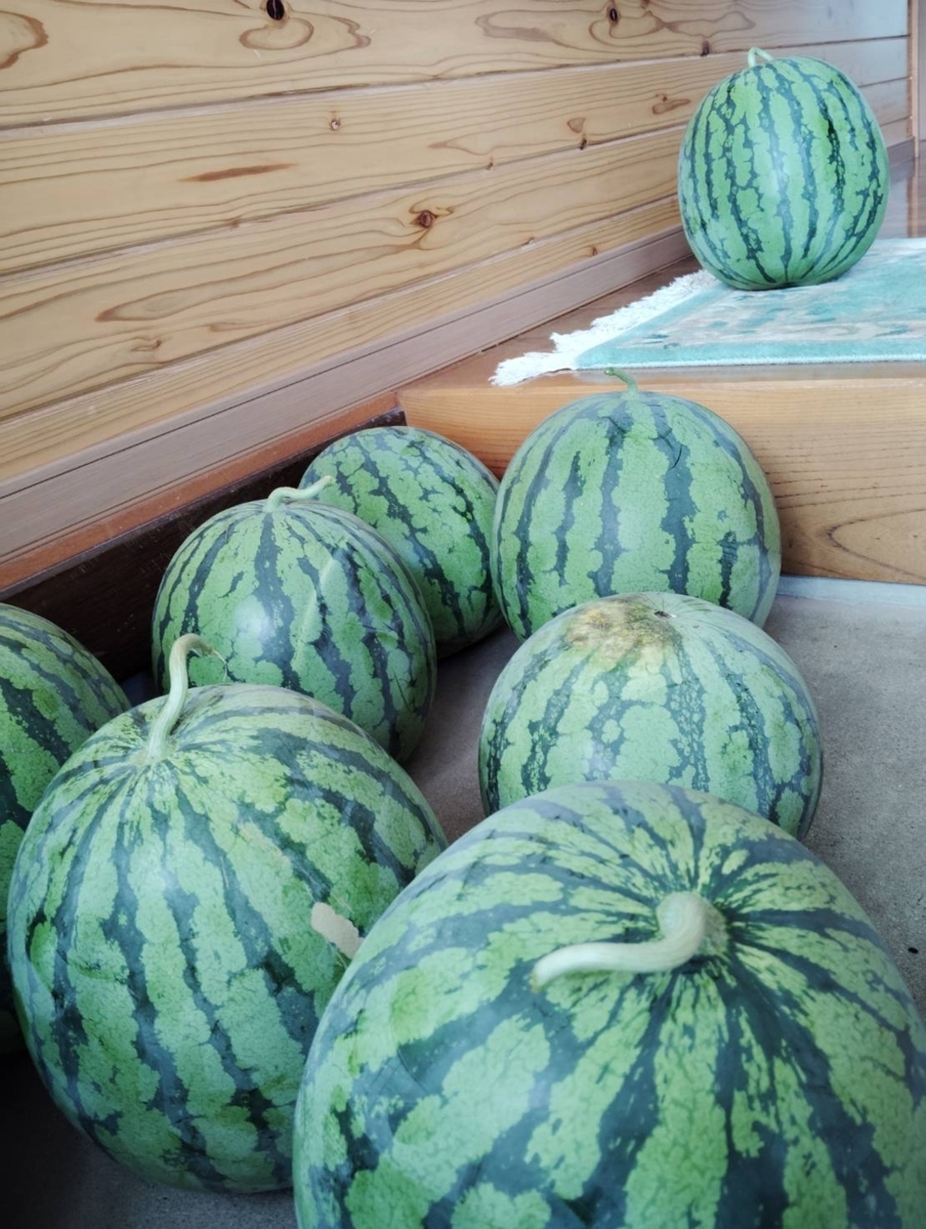 スイカ！🍉🍉🍉 - 3番テーブルの女